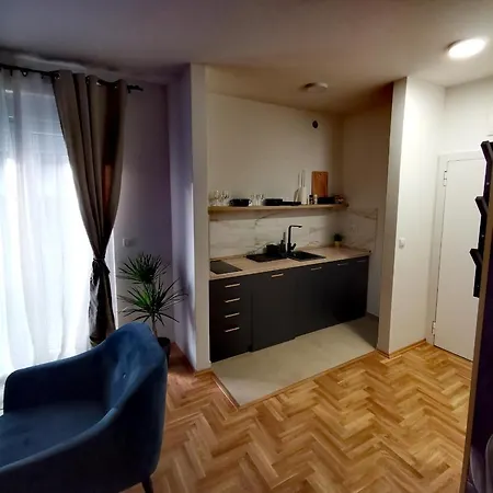 Gaudium Novi Sad